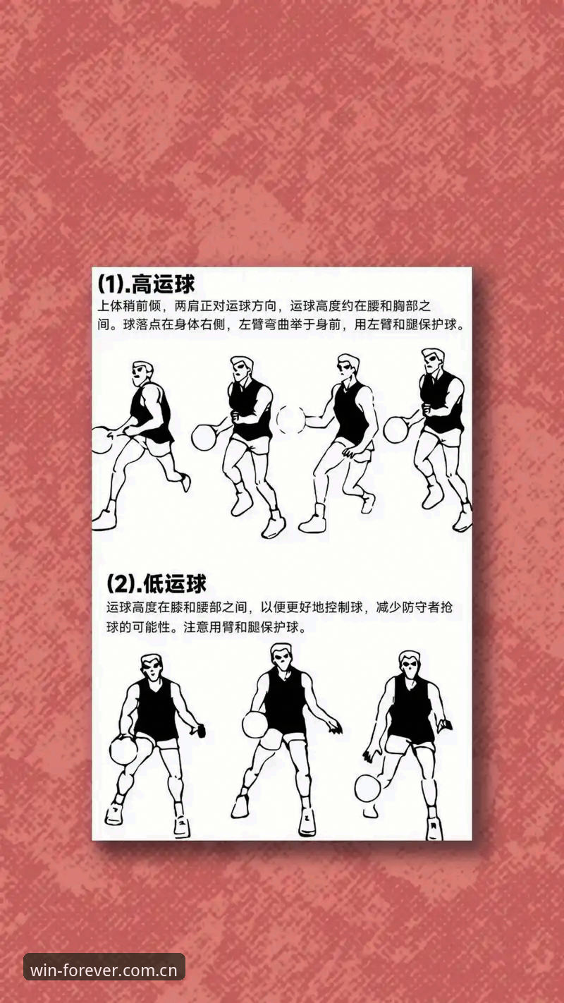 必赢官网 3个关键步骤教你高效使用必赢体育官网:从下载到实战全攻略